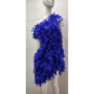 Cobalt Blue Feathers Sheer Dress Vegas Drag Queen BANJUL ASYMMETRICAL Burlesque